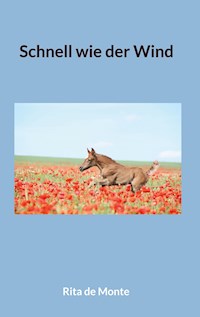 Schnell wie der Wind - Rita de Monte - E-Book