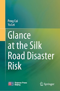 Glance at the Silk Road Disaster Risk - Peng Cui - E-Book