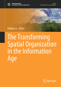 The Transforming Spatial Organization in the Information Age -  - E-Book