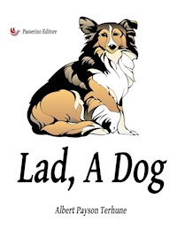 Lad, A Dog - Albert Terhune Payson - E-Book