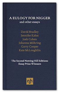 A Eulogy for Nigger and Other Essays - Josh Cohen - E-Book