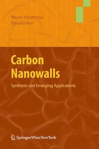 Carbon Nanowalls - Mineo Hiramatsu - E-Book