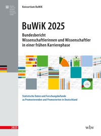 Bundesbericht Wissenschaftlerinnen und Wissenschaftler in einer frühen Karrierephase 2025 -  - kostenlos E-Book