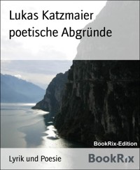poetische Abgründe - Lukas Katzmaier - E-Book