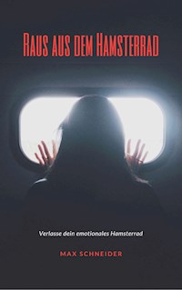 Raus aus dem Hamsterrad - Max Schneider - E-Book