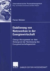 Etablierung von Netzwerken in der Energiewirtschaft - Florian Meister - E-Book