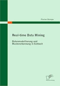 Real-time Data Mining: Datenmodellierung und Mustererkennung in Echtzeit - Florian Stompe - E-Book