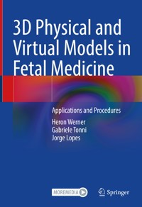 3D Physical and Virtual Models in Fetal Medicine - Heron Werner - E-Book