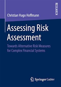 Assessing Risk Assessment - Christian Hugo Hoffmann - E-Book