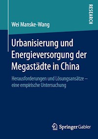 Urbanisierung und Energieversorgung der Megastädte in China - Wei Manske-Wang - E-Book