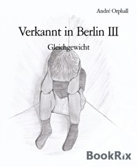 Verkannt in Berlin III - André Orphall - E-Book