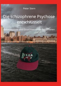 Die schizophrene Psychose entschlüsselt - Peter Stern - E-Book