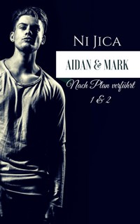Aidan & Mark - Ni Jica - E-Book