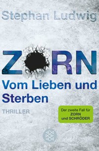 Zorn - Vom Lieben und Sterben - Stephan Ludwig - E-Book