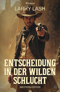 Entscheidung in der wilden Schlucht - Larry Lash - E-Book
