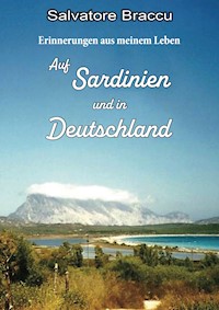 Erinnerungen aus meinem Leben - Salvatore Braccu - E-Book