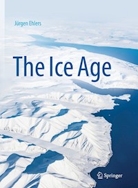 The Ice Age - Jurgen Ehlers - E-Book