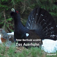 Das Auerhuhn - Peter Berthold - Hörbuch