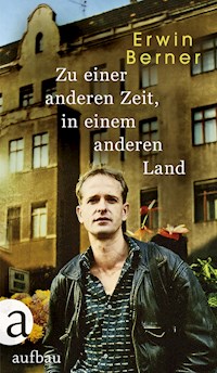 Zu einer anderen Zeit, in einem anderen Land - Erwin Berner - E-Book