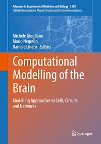 Computational Modelling of the Brain -  - E-Book