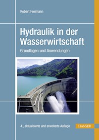 Hydraulik in der Wasserwirtschaft - Robert Freimann - E-Book