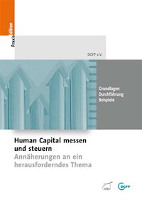 Human Capital messen und steuern -  - E-Book
