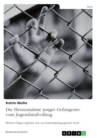 Die Herausnahme junger Gefangener vom Jugendstrafvollzug. Welche Folgen ergeben sich aus kriminalpädagogischer Sicht? - Katrin Weihs - E-Book