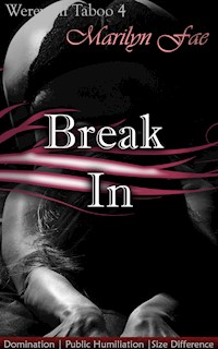 Break In - Marilyn Fae - E-Book