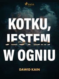 Kotku jestem w ogniu - Dawid Kain - E-Book