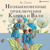 Необыкновенные приключения Карика и Вали - Ян Ларри - Hörbuch