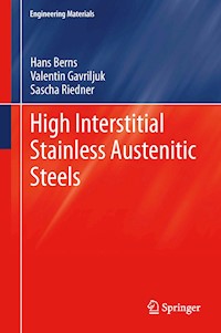 High Interstitial Stainless Austenitic Steels - Hans Berns - E-Book