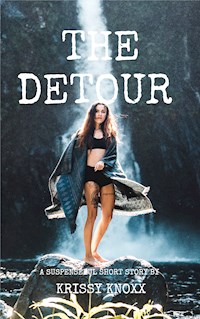 Detour - Krissy Knoxx - E-Book