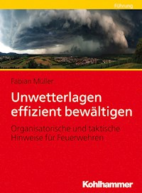 Unwetterlagen effizient bewältigen - Fabian Müller - E-Book
