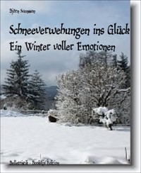 Schneeverwehungen ins Glück - Björn Svensson - E-Book