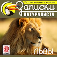 Львы - В. Немирович-Данченко - Hörbuch