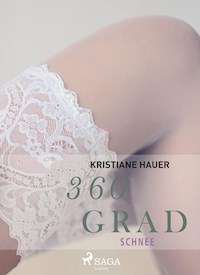 360 Grad - Schnee (Erotische Geschichten, Band 2) - Kristiane Hauer - E-Book