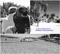Florida and the Caribbean in black and white - Michele Filippelli - E-Book