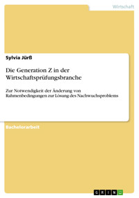 Die Generation Z in der Wirtschaftsprüfungsbranche - Sylvia Jürß - E-Book