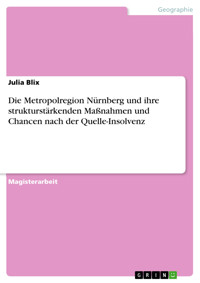 Die Metropolregion Nürnberg und ihre strukturstärkenden Maßnahmen und Chancen nach der Quelle-Insolvenz - Julia Blix - E-Book