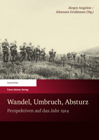Wandel, Umbruch, Absturz -  - E-Book