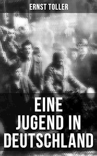 Eine Jugend in Deutschland - Ernst Toller - E-Book