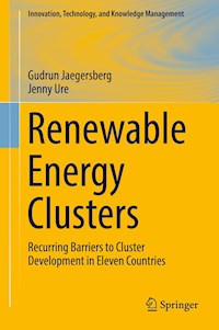 Renewable Energy Clusters - Gudrun Jaegersberg - E-Book