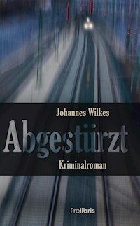 Abgestürzt - Johannes Wilkes - E-Book