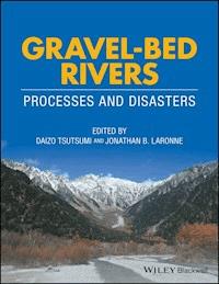 Gravel-Bed Rivers -  - E-Book