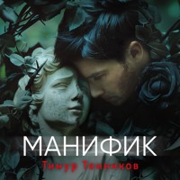 Манифик - Тимур Темников - Hörbuch