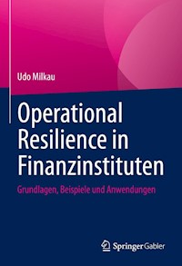 Operational Resilience in Finanzinstituten - Udo Milkau - E-Book