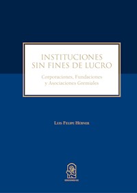 Instituciones sin fines de lucro - Luis Felipe Hûbner - E-Book