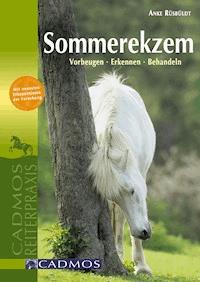 Sommerekzem - Anke Rüsbüldt - E-Book