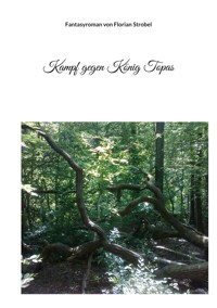 Kampf gegen König Topas - Florian Strobel - E-Book