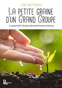 La petite graine d'un Grand Groupe - Jean Louis Miegeville - E-Book
